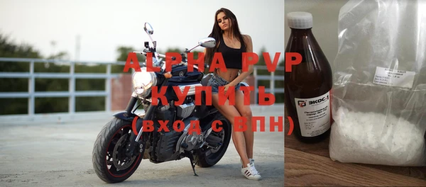 крисы Баксан