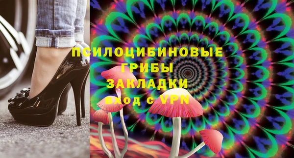 винт Аркадак
