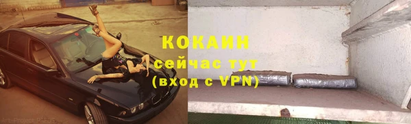 стаф Сосновка