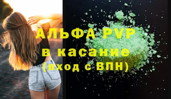 крисы Баксан