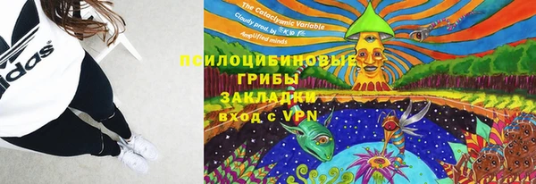 гидра Армянск