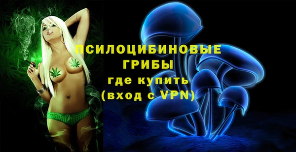 винт Аркадак