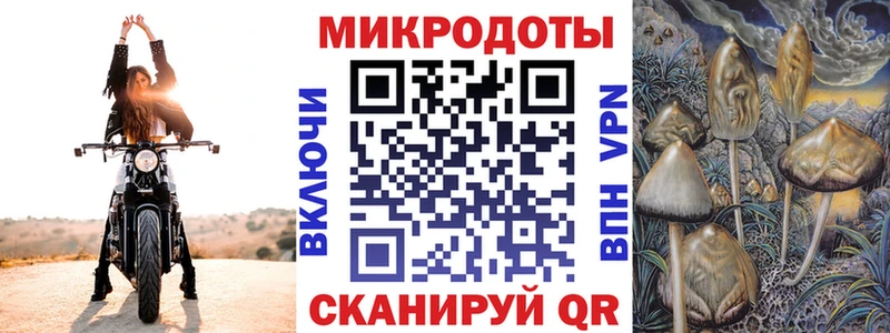 цена   Талица  Псилоцибиновые грибы MAGIC MUSHROOMS 