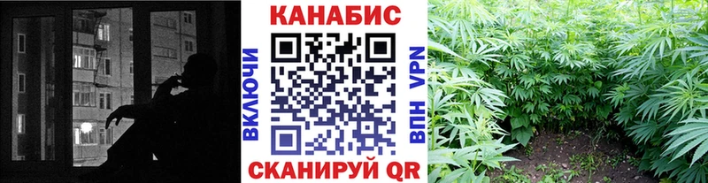 Бошки марихуана планчик  Талица 